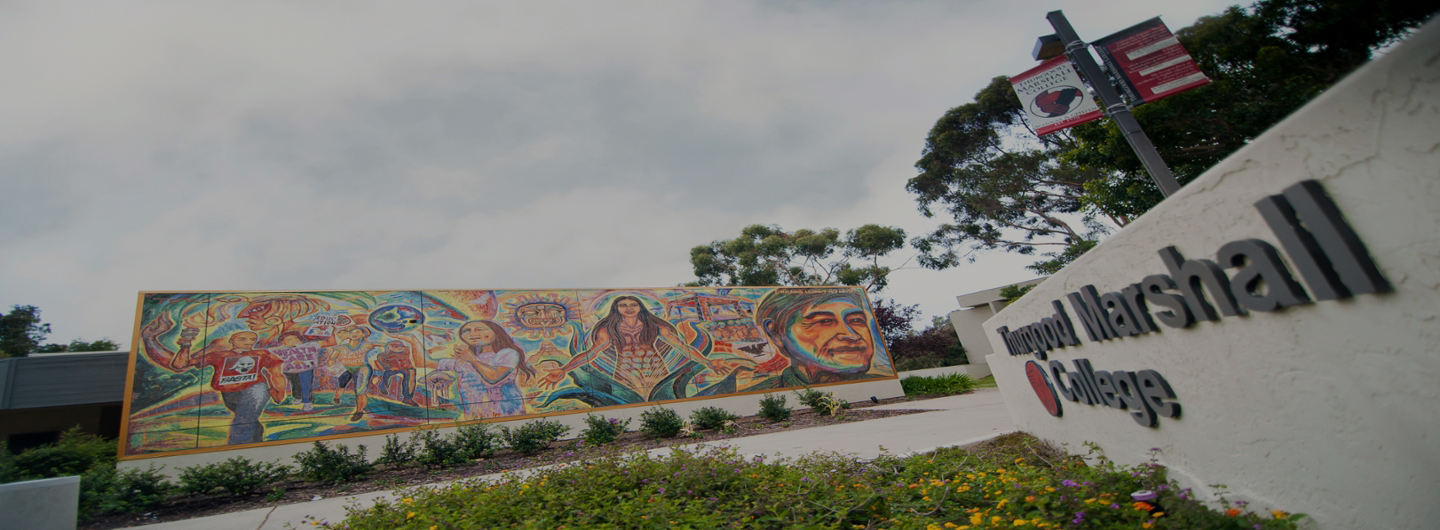 Chicano legacy mural 